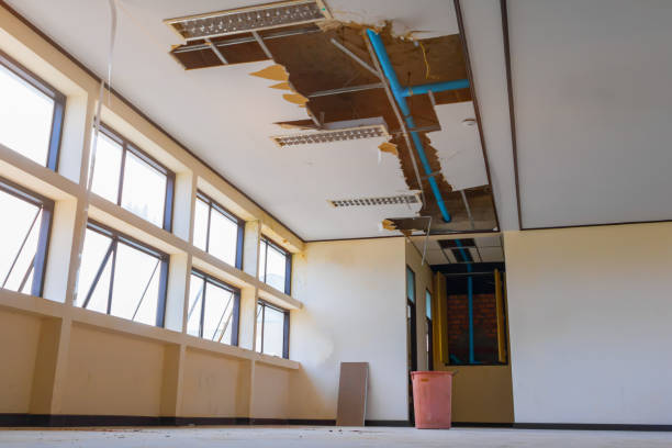 Best Carpet water damage restoration  in St Peter, WI