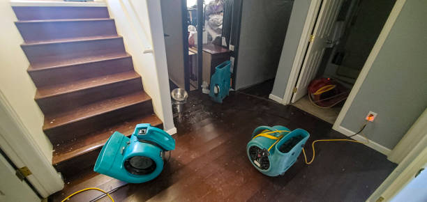 Best Water damage restoration experts  in St Peter, WI