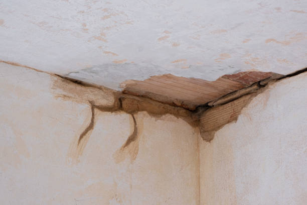 Professional Water damage restoration in St Peter, WI