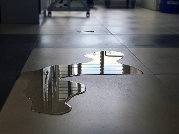 Best Emergency water damage restoration  in St Peter, WI