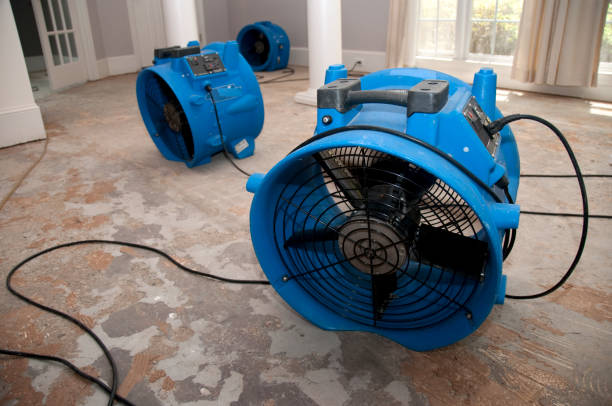 Best Water damage contractors near me  in St Peter, WI