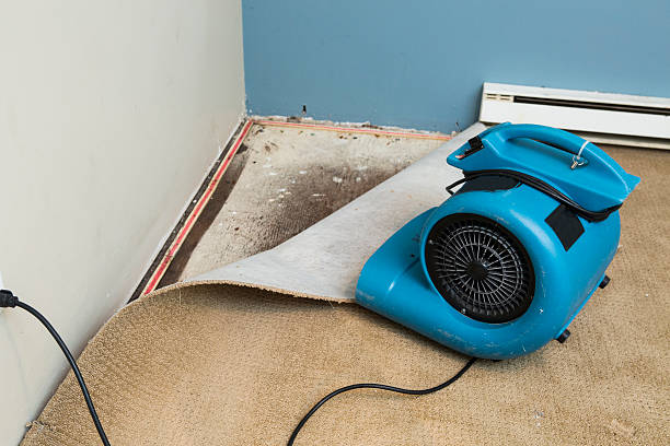 Best Water damage restoration services  in St Peter, WI